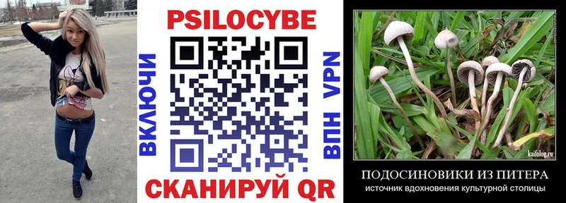 Псилоцибиновые грибы мухоморы  это какой сайт  Сим 